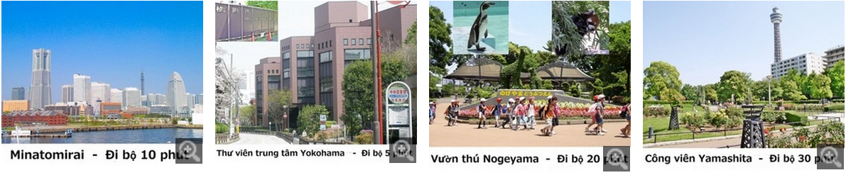 giới thiệu học viện nhật ngữ Asuka